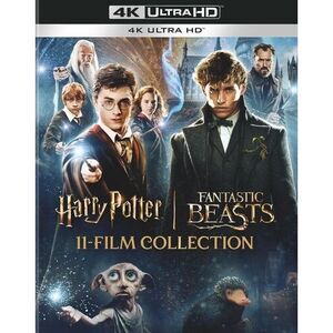 Harry Potter & Fantastic Beasts 11-Film Collection
